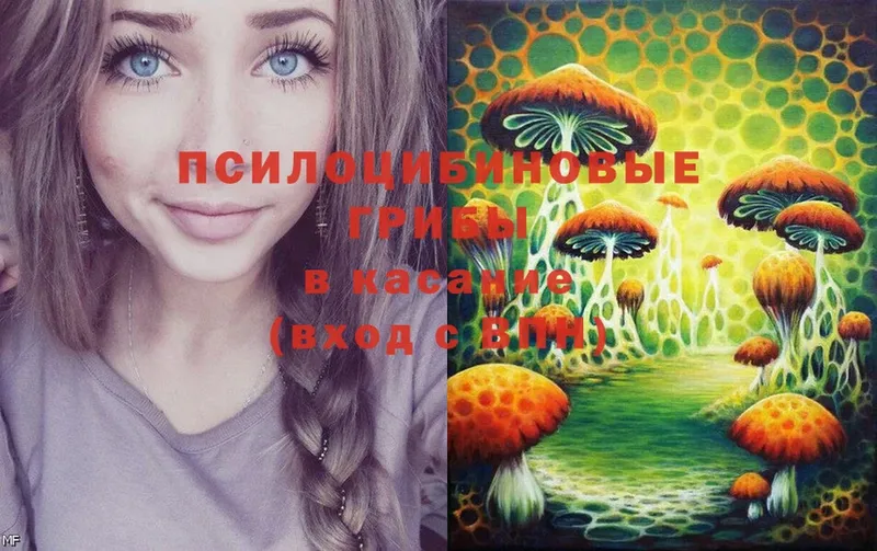 Галлюциногенные грибы Magic Shrooms  Татарск 